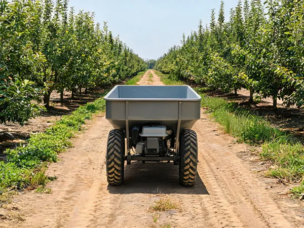 Wheelbarrow on orchard path